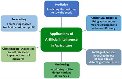 Recommendations for ethical and responsible use of artificial intelligence in digital agriculture